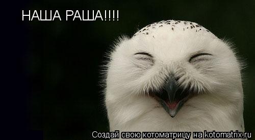 Котоматрица: НАША РАША!!!!