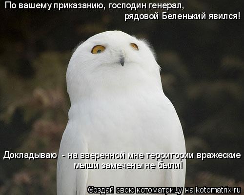Котоматрица: По вашему приказанию, господин генерал,  рядовой Беленький явился! Докладываю  - на вверенной мне территории вражеские мыши замечены не был