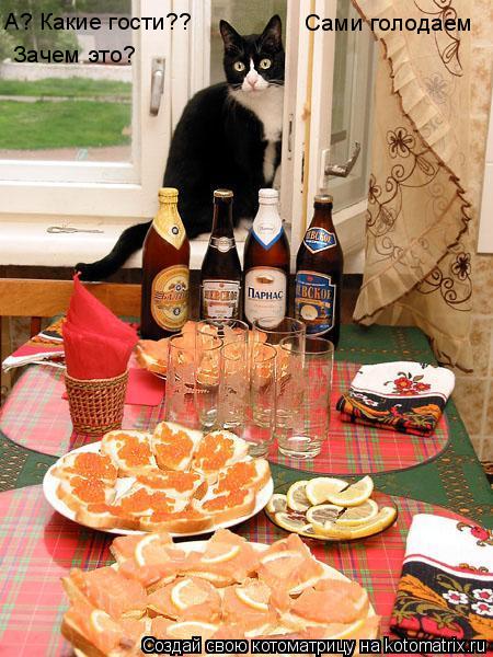 Котоматрица: А? Какие гости??  Зачем это? Сами голодаем