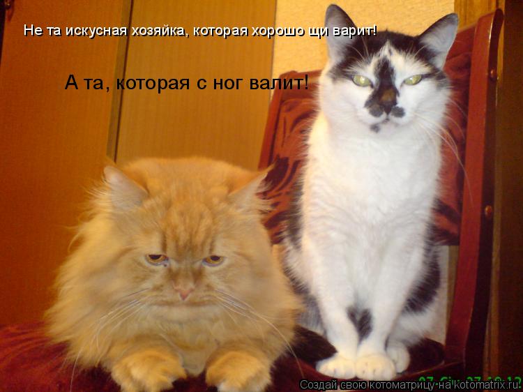 Котоматрица: Не та искусная хозяйка, которая хорошо щи варит! А та, которая с ног валит!
