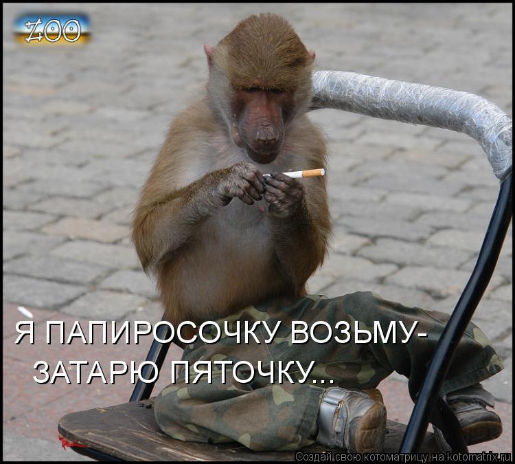 Я ПАПИРОСОЧКУ ВОЗЬМУ- ЗАТАРЮ ПЯТОЧКУ...... Котоматрица: Я ПАПИРОСОЧКУ ВОЗЬМУ- ЗАТАРЮ ПЯТОЧКУ...