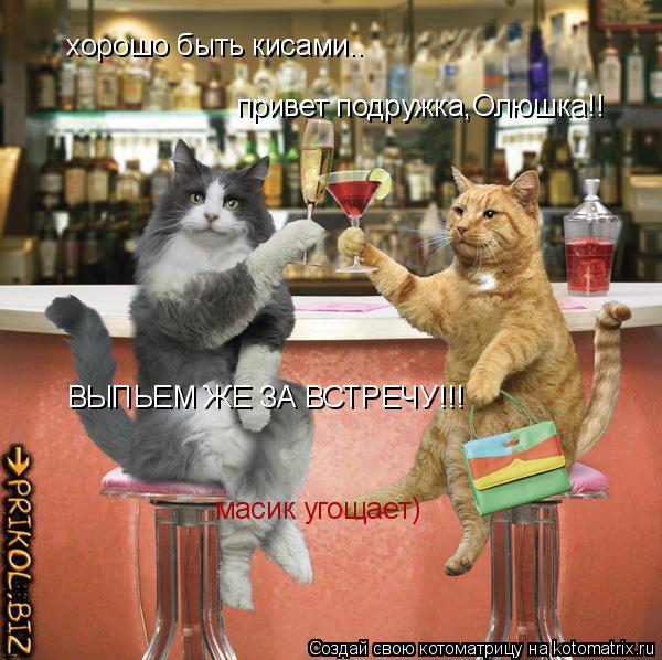 хорошо быть кисами.. привет подружка,Олюшка!! ВЫПЬЕМ ЖЕ ЗА ВСТРЕЧУ!!! масик угощает)... Котоматрица: хорошо быть кисами.. привет подружка,Олюшка!! ВЫПЬЕМ ЖЕ ЗА ВСТРЕЧУ!!! масик угощает)
