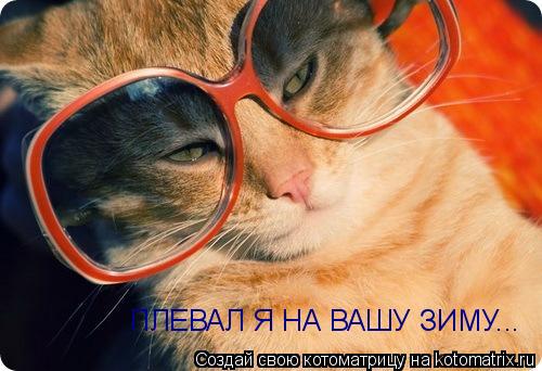 Котоматрица: ПЛЕВАЛ Я НА ВАШУ ЗИМУ...