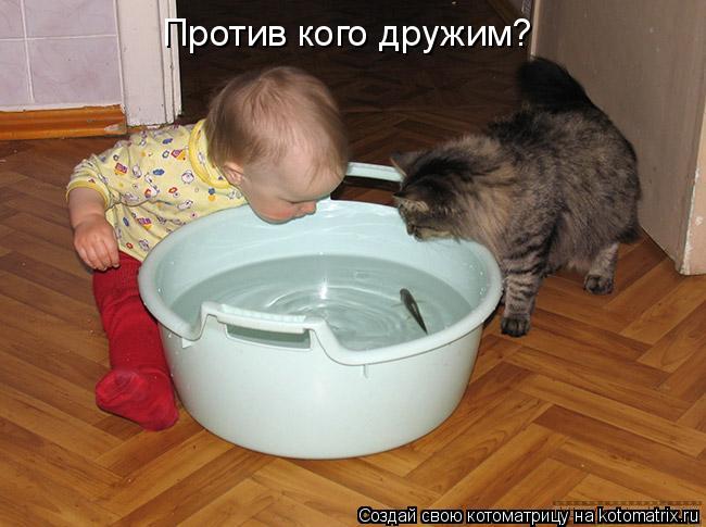 Против кого дружим?... Котоматрица: Против кого дружим?
