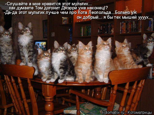 Котоматрица: -Слушайте а мне нравится этот мультик...  как думаете Том догонит Джэрри уже наконец!? -Да-да этот мультик лучше чем про Кота Леопольда...Больн
