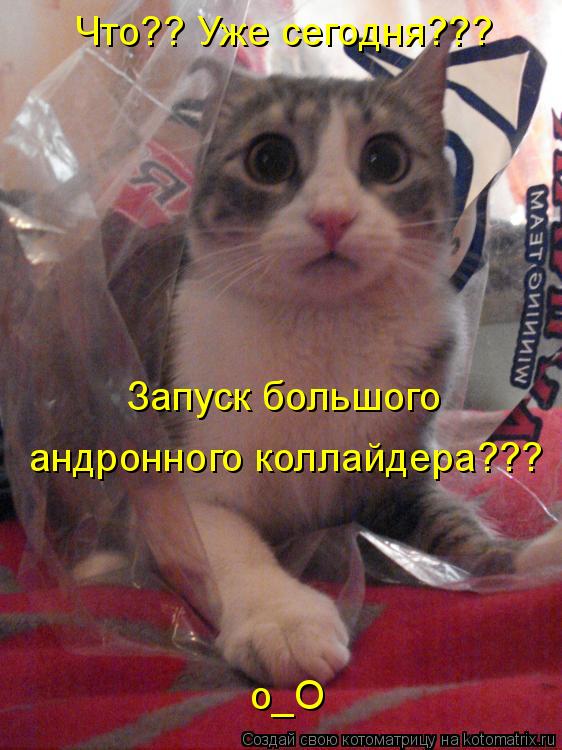 Котоматрица: Что?? Уже сегодня??? Запуск большого андронного коллайдера??? о_О