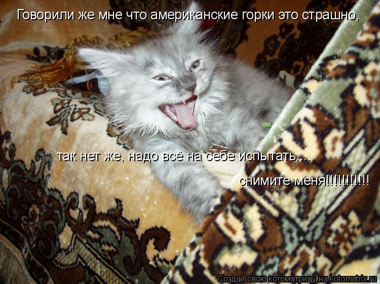 Котоматрица: Говорили же мне что американские горки это страшно, так нет же, надо всё на себе испытать.... снимите меня!!!!!!!!!!!