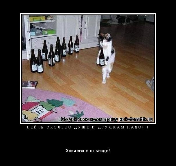 Котоматрица: П Е Й Т Е   С К О Л Ь К О   Д У Ш Е   И   Д Р У Ж К А М   Н А Д О ! ! ! 