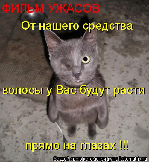 Котоматрица: волосы у Вас будут расти прямо на глазах !!! ФИЛЬМ УЖАСОВ От нашего средства