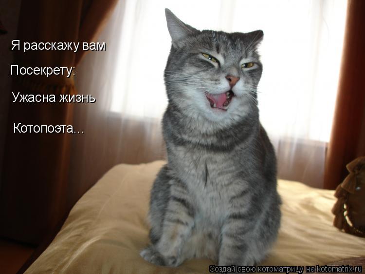 Котоматрица: Я расскажу вам Посекрету: Ужасна жизнь Котопоэта...