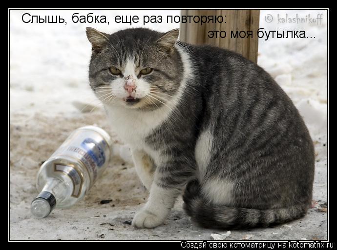 Котоматрица: Слышь, бабка, еще раз повторяю: это моя бутылка...
