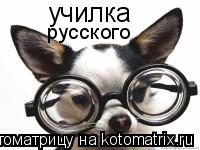 Котоматрица: училка русского