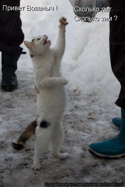 Привет Вованыч ! Сколько лет Сколько зим ?... Котоматрица: Привет Вованыч ! Сколько лет Сколько зим ?