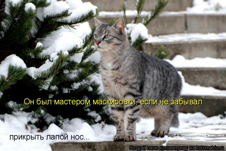 Он был мастером маскировки, если не забывал прикрыть лапой нос...... Котоматрица: Он был мастером маскировки, если не забывал прикрыть лапой нос...