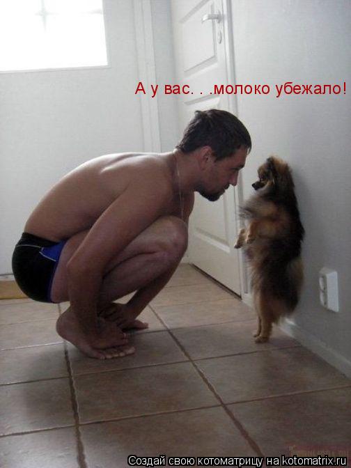 Котоматрица: А у вас. . .молоко убежало!