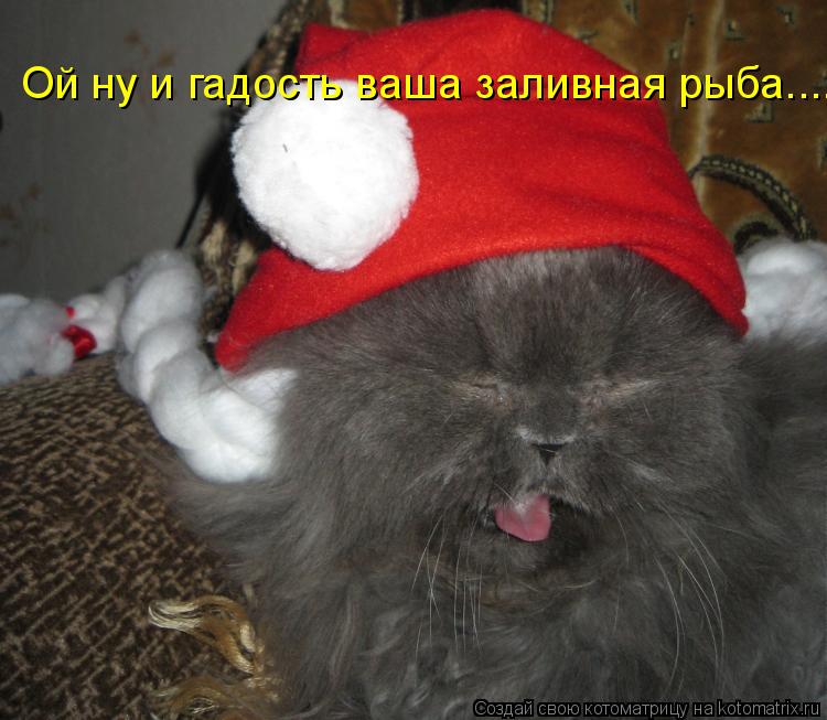 Котоматрица: Ой ну и гадость ваша заливная рыба....