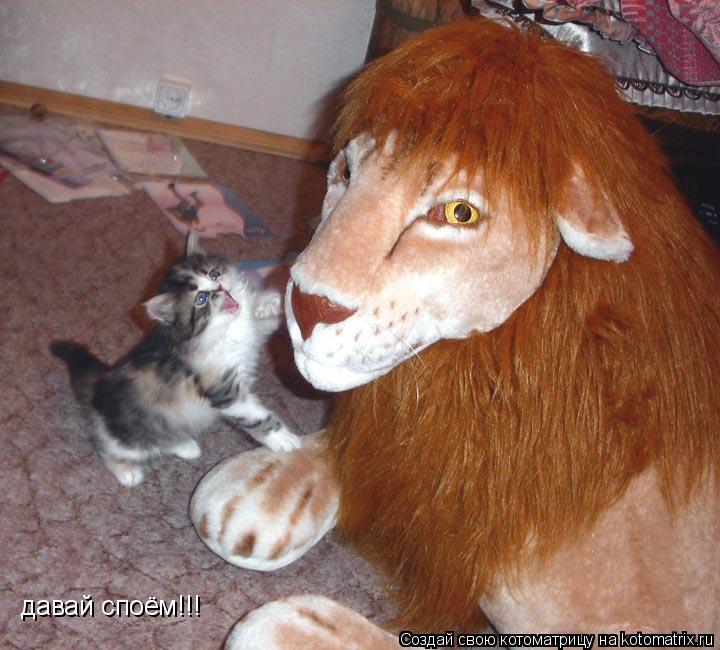 давай споём!!!... Котоматрица: давай споём!!!