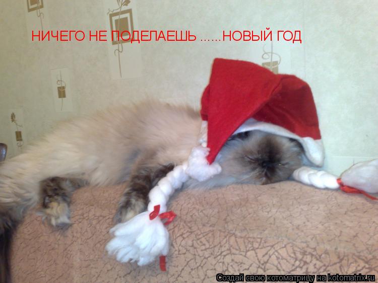 Котоматрица: НИЧЕГО НЕ ПОДЕЛАЕШЬ ......НОВЫЙ ГОД
