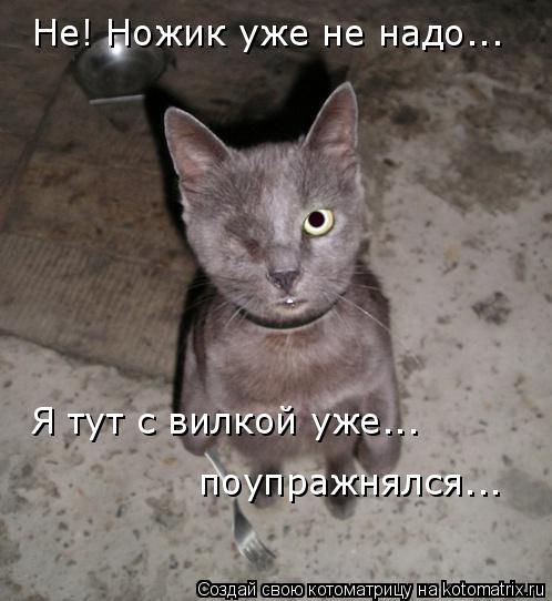 Не! Ножик уже не надо... Я тут с вилкой уже... поупражнялся...... Котоматрица: Не! Ножик уже не надо... Я тут с вилкой уже... поупражнялся...