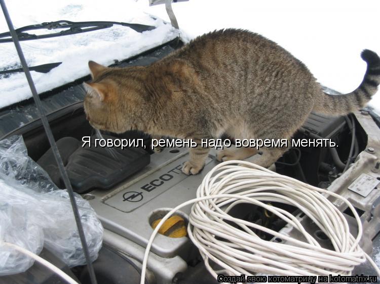 Котоматрица: Я говорил, ремень надо вовремя менять.