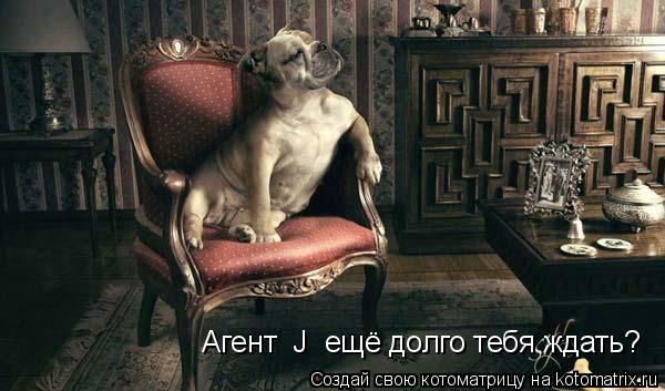 Агент J ещё долго тебя ждать?... Котоматрица: Агент J ещё долго тебя ждать?