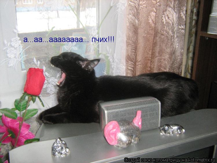 а...аа...аааааааа... пчих!!!... Котоматрица: а...аа...аааааааа... пчих!!!
