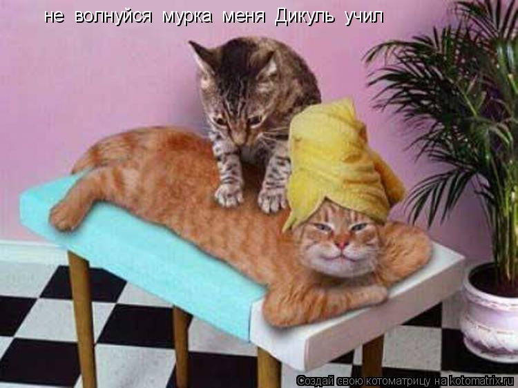 Котоматрица: не  волнуйся  мурка  меня  Дикуль  учил