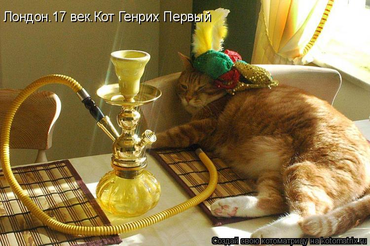 Лондон.17 век.Кот Генрих Первый... Котоматрица: Лондон.17 век.Кот Генрих Первый