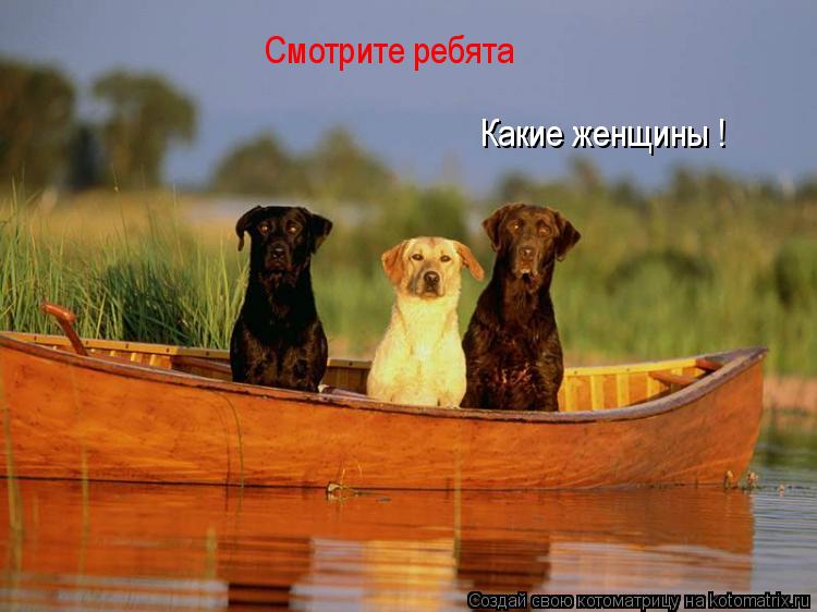 Какие женщины ! Смотрите ребята... Котоматрица: Какие женщины ! Смотрите ребята