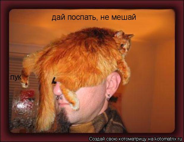 Котоматрица: дай поспать, не мешай пук