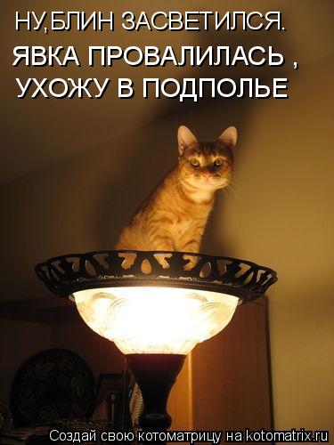 НУ,БЛИН ЗАСВЕТИЛСЯ. ЯВКА ПРОВАЛИЛАСЬ , УХОЖУ В ПОДПОЛЬЕ... Котоматрица: НУ,БЛИН ЗАСВЕТИЛСЯ. ЯВКА ПРОВАЛИЛАСЬ , УХОЖУ В ПОДПОЛЬЕ