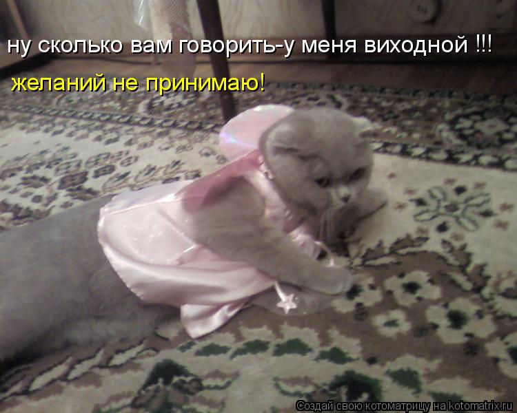 ну сколько вам говорить-у меня виходной !!! желаний не принимаю!... Котоматрица: ну сколько вам говорить-у меня виходной !!! желаний не принимаю!