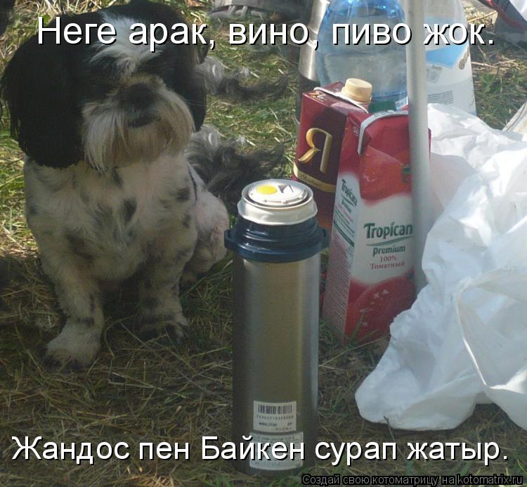 Котоматрица: Неге арак, вино, пиво жок.  Жандос пен Байкен сурап жатыр.