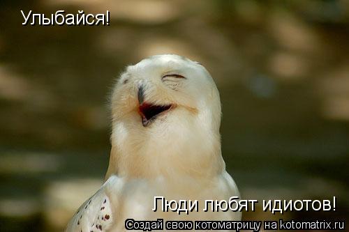 Котоматрица: Улыбайся! Люди любят идиотов!