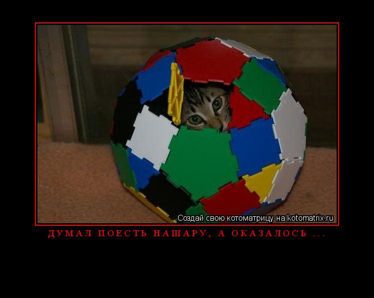 Котоматрица: Д У М А Л   П О Е С Т Ь   Н А Ш А Р У ,   А   О К А З А Л О С Ь   . . . 