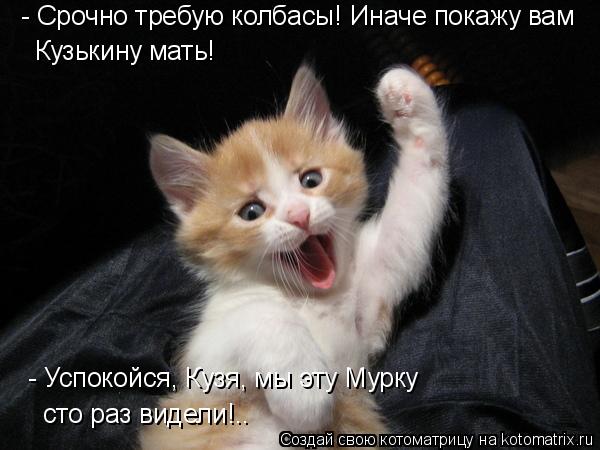 Котоматрица: - Срочно требую колбасы! Иначе покажу вам Кузькину мать! - Успокойся, Кузя, мы эту Мурку  сто раз видели!..