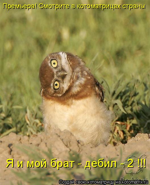 фото я и брат мой дебил