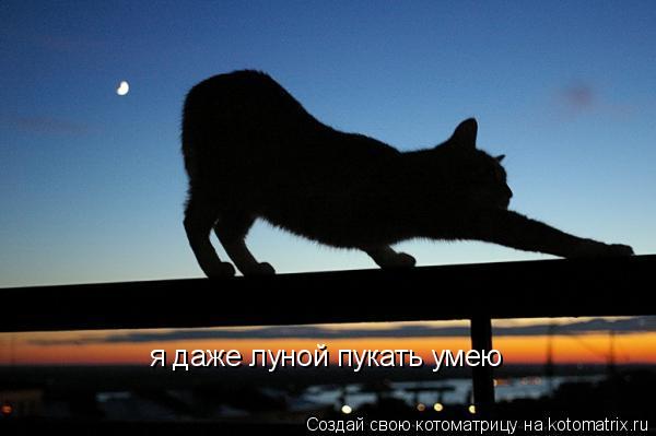 Котоматрица: я даже луной пукать умею
