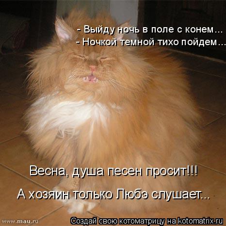 Котоматрица: - Выйду ночь в поле с конем... - Ночкой темной тихо пойдем... Весна, душа песен просит!!! А хозяин только Любэ слушает...