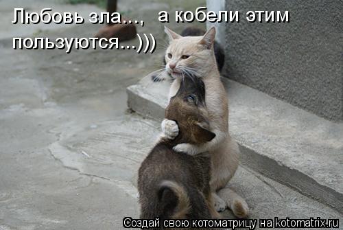 Котоматрица: Любовь зла..., а кобели этим  пользуются...)))