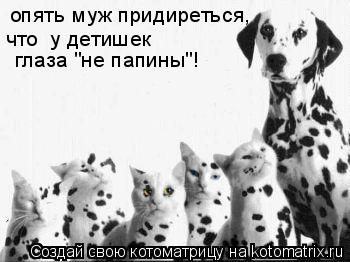 опять муж придиреться, что у детишек глаза "не папины"!... Котоматрица: опять муж придиреться, что у детишек глаза "не папины"!