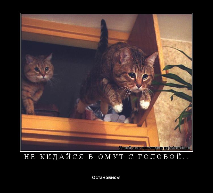 Котоматрица: Н Е   К И Д А Й С Я   В   О М У Т   С   Г О Л О В О Й . . 