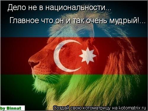 Котоматрица: Дело не в национальности... Главное что он и так очень мудрый!...
