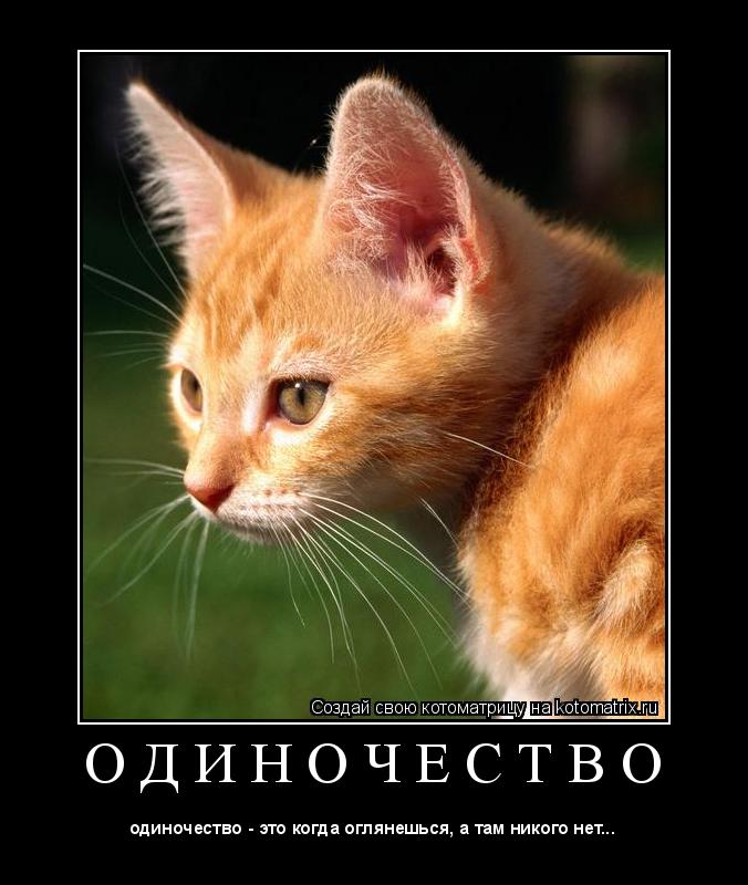 Котоматрица: О Д И Н О Ч Е С Т В О 