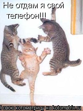 Котоматрица: Не отдам я свой телефон!!!