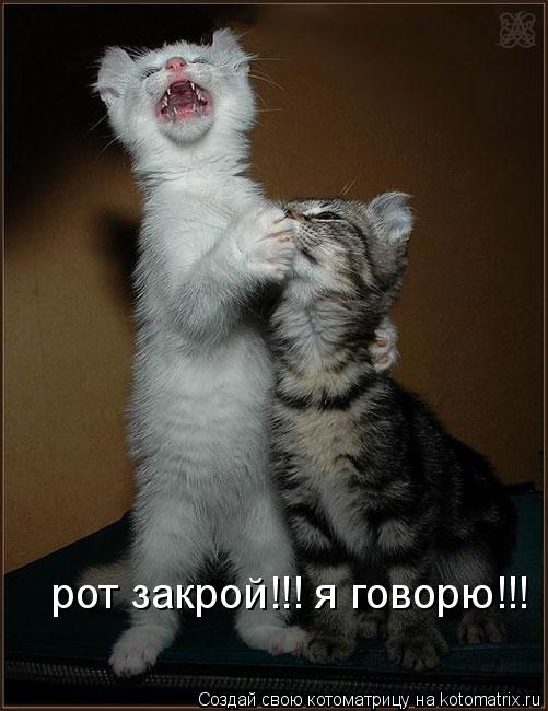 Котоматрица: рот закрой!!! я говорю!!!
