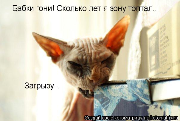 Котоматрица: Бабки гони! Сколько лет я зону топтал... Загрызу...