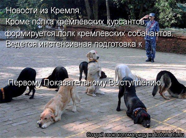 Котоматрица: Новости из Кремля.  Кроме полка кремлёвских курсантов, формируется полк кремлёвских собачантов. Ведётся инстенсивная подготовка к  Первом