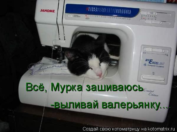 Всё, Мурка зашиваюсь -выливай валерьянку....... Котоматрица: Всё, Мурка зашиваюсь -выливай валерьянку....