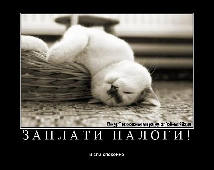 Котоматрица: З А П Л А Т И   Н А Л О Г И ! 